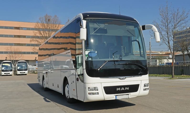 charter autobus rental for bus transfers